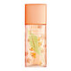 Elizabeth Arden Green Tea Nectarine Blossom Toaletna voda - Tester