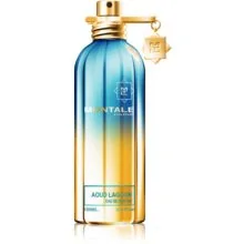 Montale Aoud Lagoon Parfémovaná voda - Tester