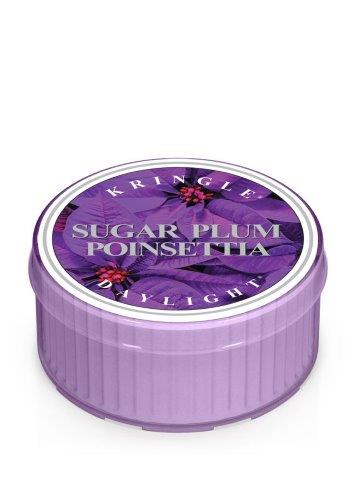 Dišeča sveča Kringle Candle Sugar Plum Poinsettia (35 g)