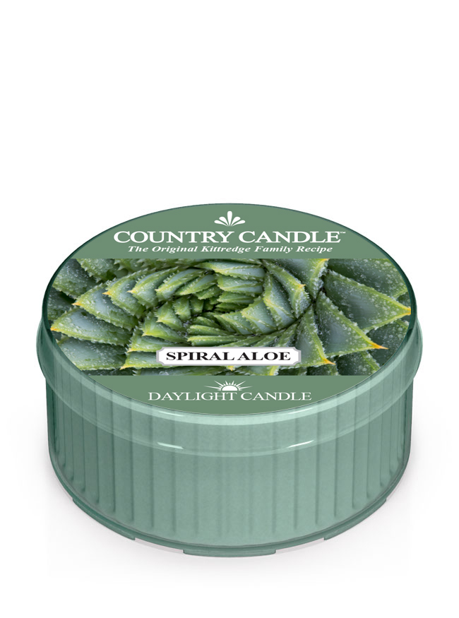 Dišeča sveča Country Candle Spiral Aloe (42 g)