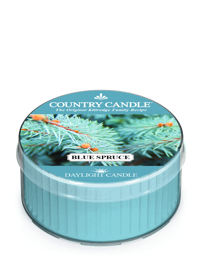 Dišeča sveča Country Candle Blue Spruce (42g)