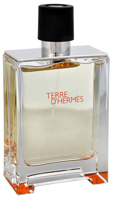 Hermes Terre D'Hermes Toaletna voda - Tester